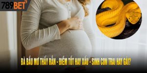 Bà Bầu Mơ Thấy Rắn - Điềm Tốt Hay Xấu - Sinh Con Trai Hay Gái?